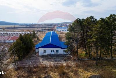 Spațiu comercial, de 800 mp, în Traian - 10