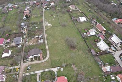 Teren de 3750 mp, în Voila - 4