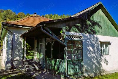 Casa cu teren 3000m2 intravilan - 1