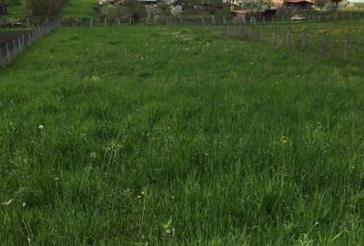 Spațiu comercial, în Central - 2