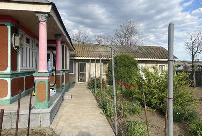 Casă cu Teren 1263 Mp în Valea Mărului - 3