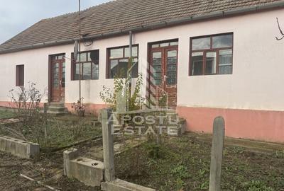 Casă individuală cu 4 camere cu Canalizare în Petrovaselo - 1