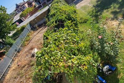 Casă cu 4 camere în Broșteni