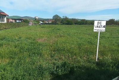 Teren de 1609 mp, în Teiu - 3