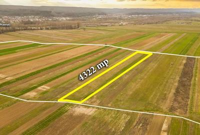 Teren de 4322 mp, în Mănești - 7