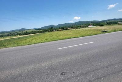Teren de 2900 mp, în Borod