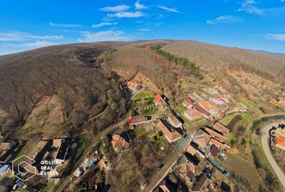 Spațiu comercial, de 400 mp, în Cladova - 38