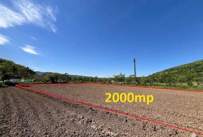 Teren de 1500 mp, în Bejan - 3