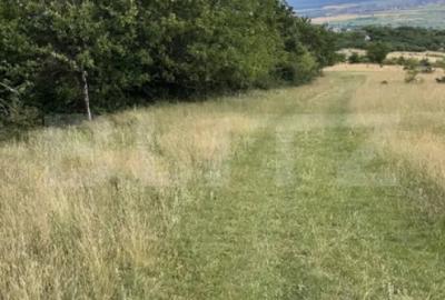 Teren în Geoagiu-Băi - 7