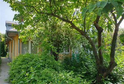 Casă cu 3 camere în Frumușani - 6