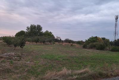 Teren Construcții intravilan de 608 mp, în Dumbrăvița - 2