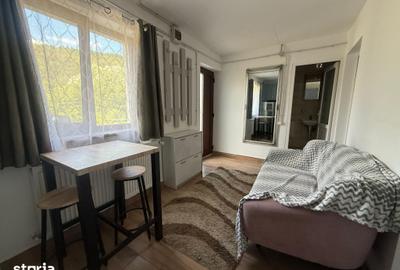 Apartament cu 2 camere decomandat în Mănăștur - 4
