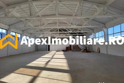 Spațiu comercial, de 1,800 mp, în Xenia - 12