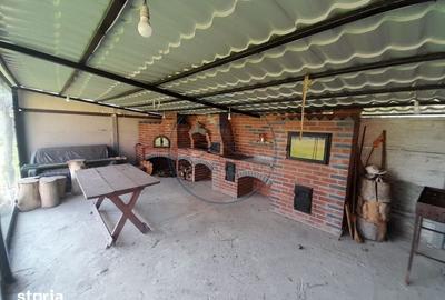 Casă cu 5 camere cu Teren 4787 Mp în Rusu Bârgăului