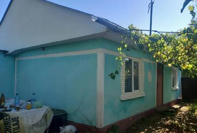 Casă cu Teren 8000 Mp în Central