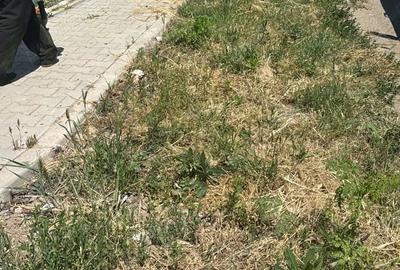 Teren în Central