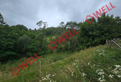 Teren extravilan de 3300 mp, în Sărămaș - 3