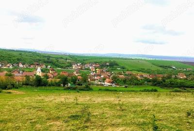 Teren de 2400 mp, în Șura Mică - 4