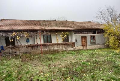 Casă cu 4 camere în Ciurari