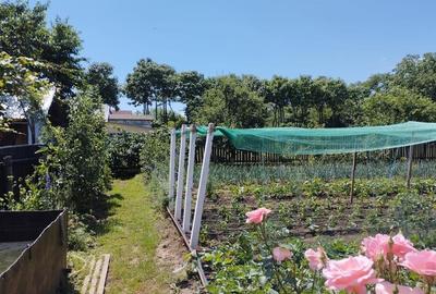 Casă individuală cu 9 camere cu Canalizare în 9 Mai - 7