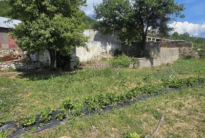 Spațiu comercial, de 700 mp, în Berzasca - 6