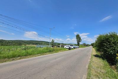 Spațiu comercial, în Plavia - 3