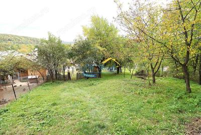 Casă cu 3 camere cu Teren 4930 Mp în Aluniș - 11