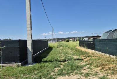 Teren de 1000 mp, în Șimian - 2
