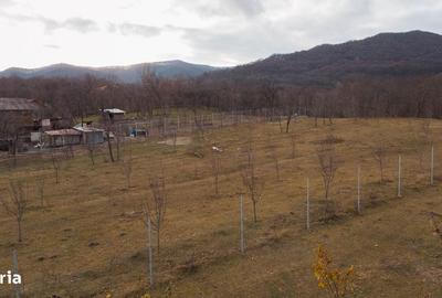 Teren de 5100 mp, în Central - 11