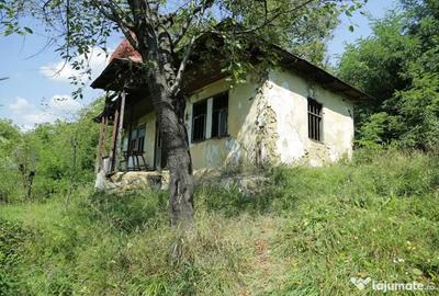 Teren de 2700 mp, în Telega - 1