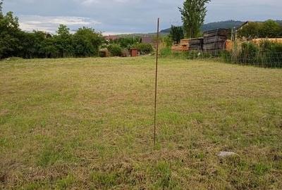 Teren de 1200 mp, în Bulgaria - 3