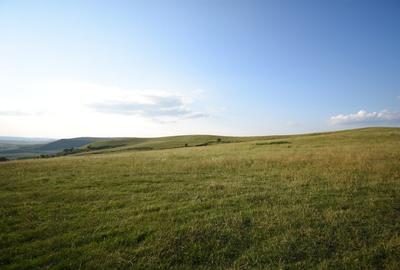 Teren agricol extravilan de 5800 mp, în Chinteni - 5