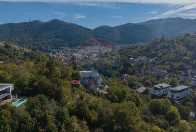 Teren Construcții intravilan de 4175 mp, în Drumul Poienii - 1