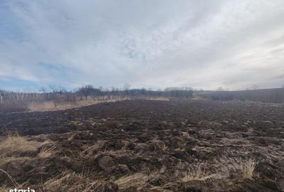 Casă cu Teren 6300 Mp în Abram - 7