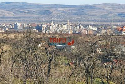 Spațiu comercial, în Central