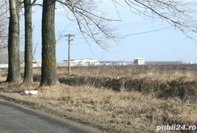 Teren de 20000 mp, în Afumați - 7