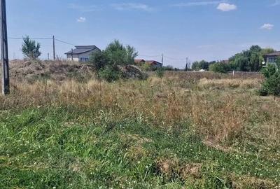 Teren de 1000 mp, în Brănești - 4