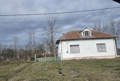 Casă cu Teren 1500 Mp în Nițchidorf - 1
