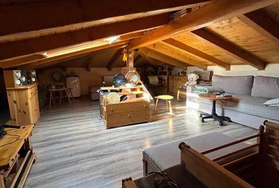 Apartament cu 2 camere semidecomandat, mobilat în Giroc - 4
