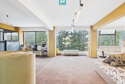 Spațiu comercial, de 343 mp, în Aradului - 8