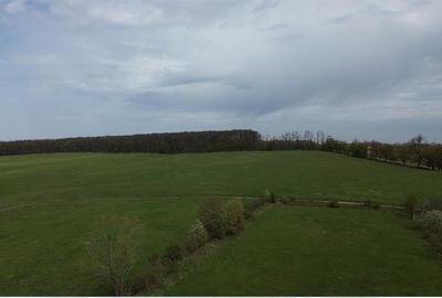 Teren Construcții intravilan de 5800 mp, în Mitocași - 3