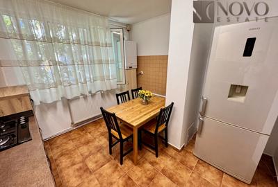 Apartament cu 4 camere semidecomandat, mobilat în Baba Novac - 8