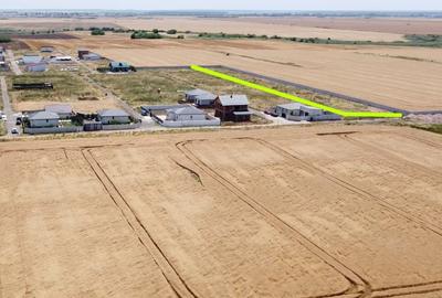 Teren Construcții intravilan de 495 mp, în Berceni - 2