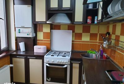 Apartament cu 2 camere în Obcini