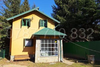 Casă cu 3 camere cu Teren 428 Mp în Măneciu