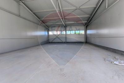 Spațiu industrial, de 200 mp, în Cernica - 16