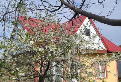 Casă cu 2 camere cu Teren 1154 Mp în Schitu Duca - 4
