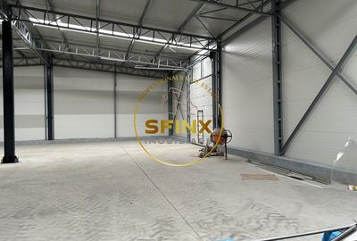 Spațiu industrial, de 580 mp, în Chitila - 4