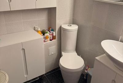 Apartament cu 3 camere decomandat, mobilat în Dămăroaia - 9