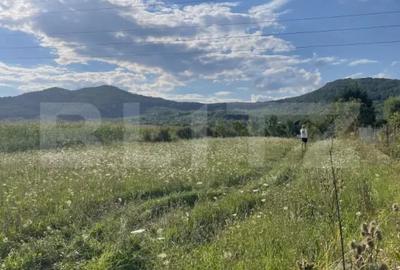 Teren de 1000 mp, în Viișoara - 1